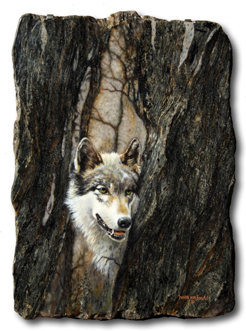 801 From a Narrow Perspective 1